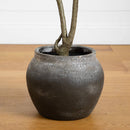 4' Artificial Audrey Ficus Tree in Rustic Decorative Planter