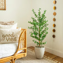 4' Artificial Shady Lady Black Olive Tree