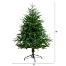 4' Pre-Lit Artificial Luxembourg Pine Christmas Tree with 120 Multicolored Traditional Bulb LED Lights