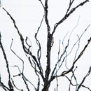 4' Pre-Lit Halloween Black Twig Artificial Tree with 180 Orange & Purple LED Lights