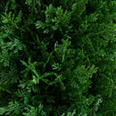 4-ft UV Resistant Artificial Cedar Plant with Integrated Ground Stake (Indoor/Outdoor) - Set of 2