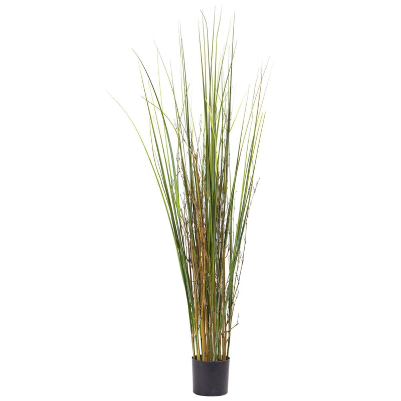 4' Grass & Bamboo Plant