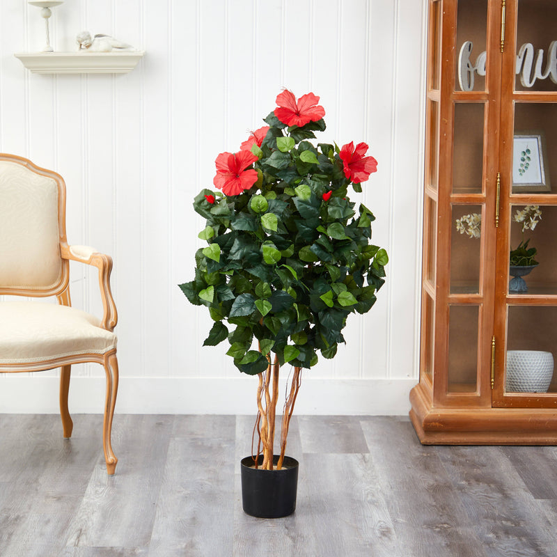 4’ Hibiscus Tree, photo 4 of 5