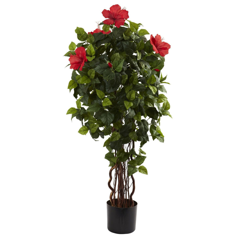 4’ Hibiscus Tree, photo 5 of 5