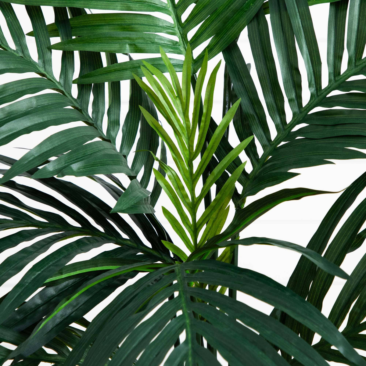 4’ Kentia Palm Tree in Coiled Rope Planter, photo 2 of 4