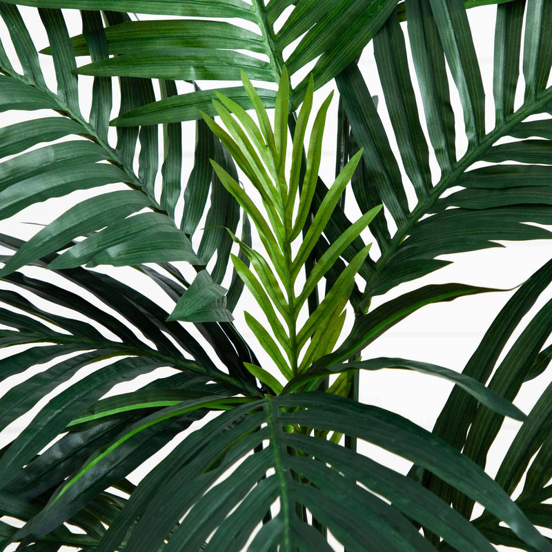 4’ Kentia Palm Tree in Coiled Rope Planter, photo 2 of 4