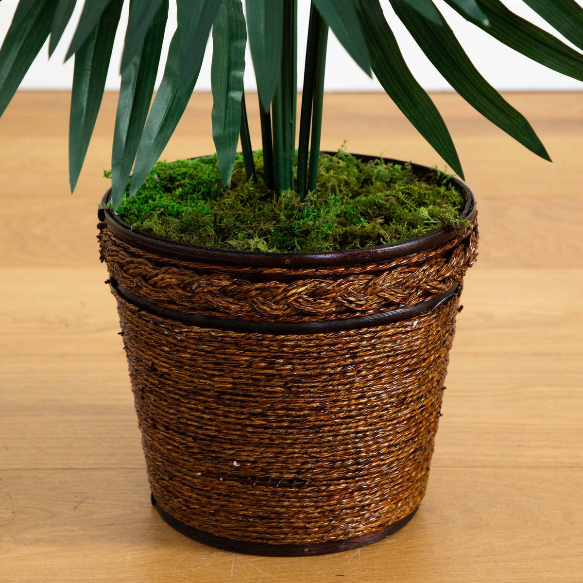 4’ Kentia Palm Tree in Coiled Rope Planter, photo 3 of 4