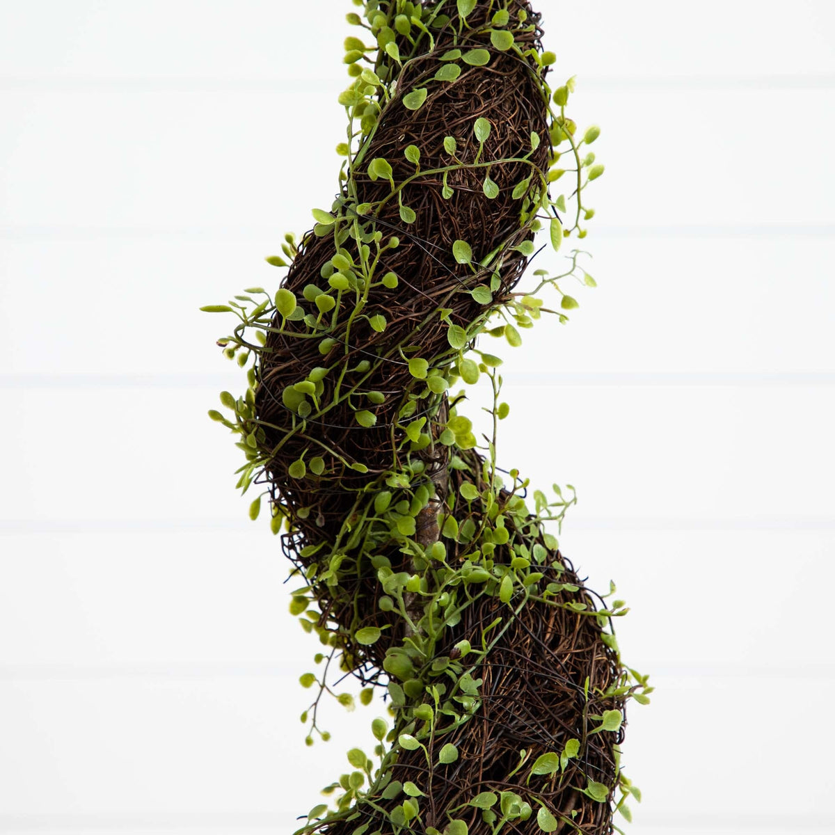 4' Artificial Muehlenbeckia Spiral Tree, photo 3 of 4