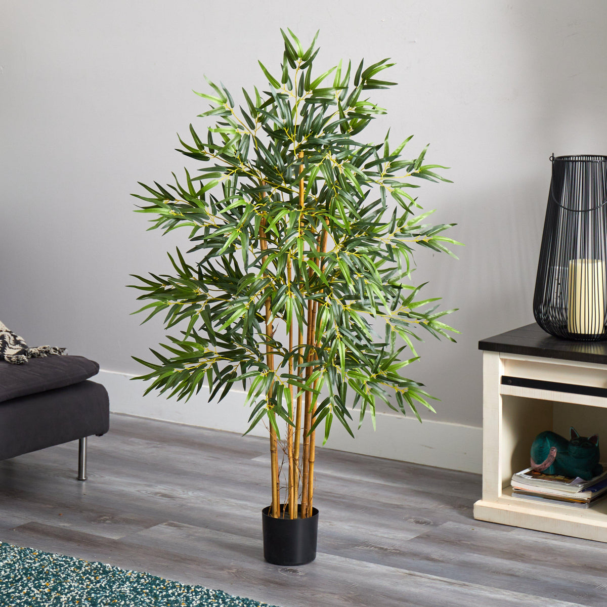 4' Multi Bambusa Bamboo Silk Tree, photo 4 of 5