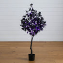 4' Pre-Lit Artificial Halloween Black Maple Tree with 180 Orange & Purple LED Lights