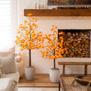 4' Pre-Lit Minimalist Autumn Maple Artificial Fall Tree with 56 LED Warm White & Orange Pumpkin Shaped Lights