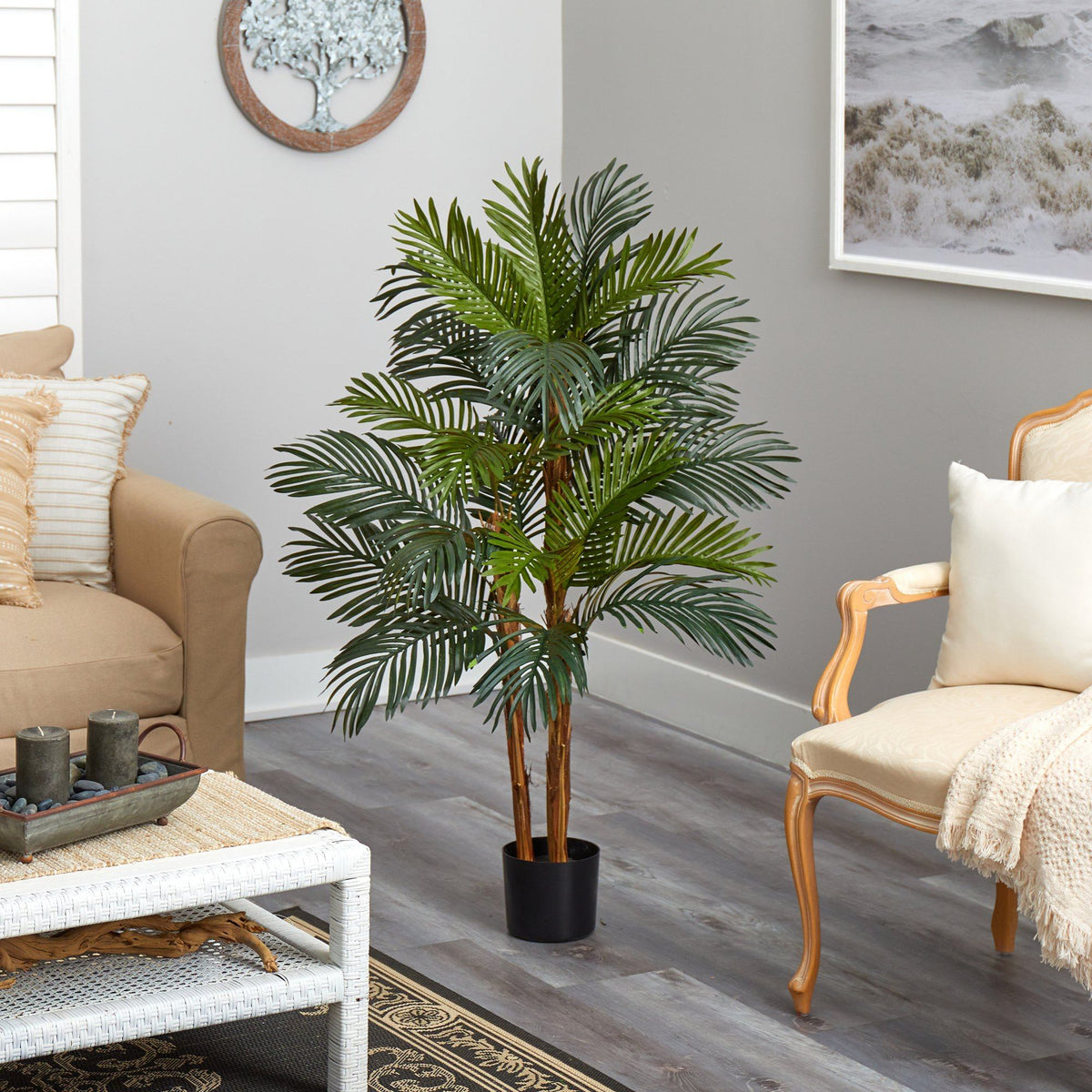 4’ Robellini Palm Artificial Tree, photo 4 of 4