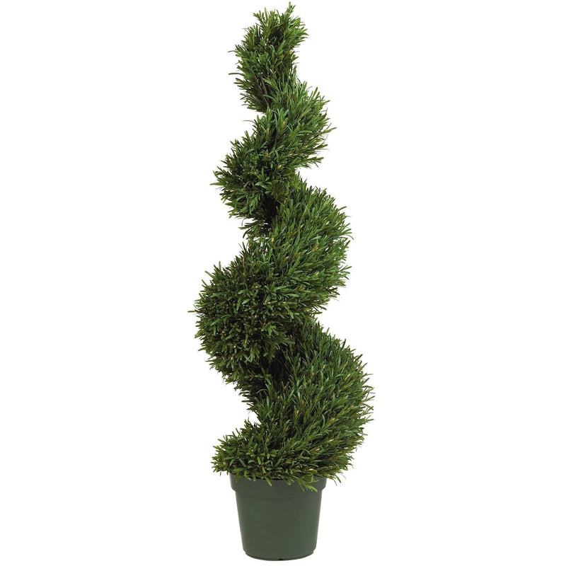 4' Rosemary Spiral Silk Tree (Indoor/Outdoor)