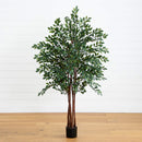 4' Ruscus Silk Tree