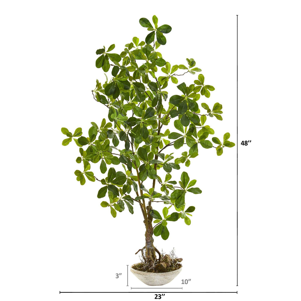 4’ Schefflera Bonsai Artificial Plant in Planter, photo 2 of 2
