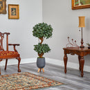 4’ Sweet Bay Double Ball Topiary Artificial Tree in Gray Planter with Stand