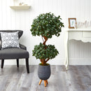 4’ Sweet Bay Double Ball Topiary Artificial Tree in Gray Planter with Stand