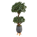4’ Sweet Bay Double Ball Topiary Artificial Tree in Gray Planter with Stand