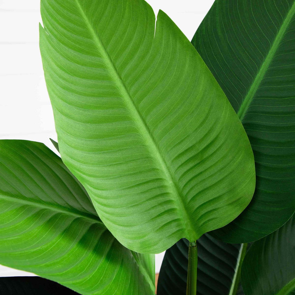 4’ Travelers Artificial Palm Tree in Oval Planter, photo 2 of 8