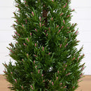 4' UV Resistant Artificial Rosemary Cone Topiary Tree (Indoor/Outdoor)