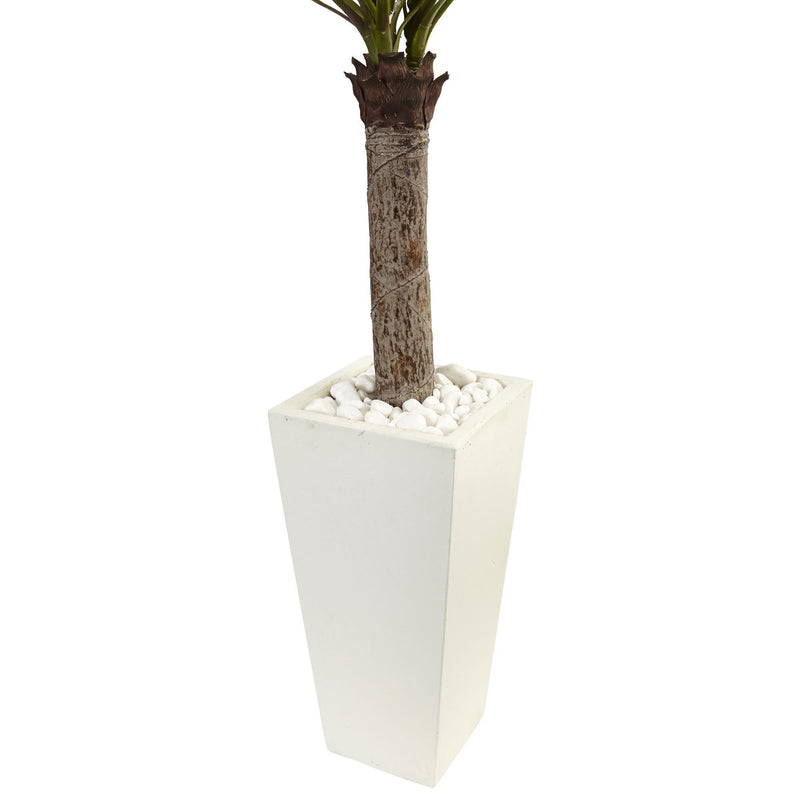 4’ Yucca Tree in White Tower Planter, photo 3 of 3