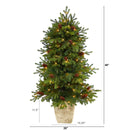 4’ Yukon Mountain Fir Artificial Christmas Tree with 100 Clear Lights, Pine Cones and 386 Bendable Branches in Country White Planter