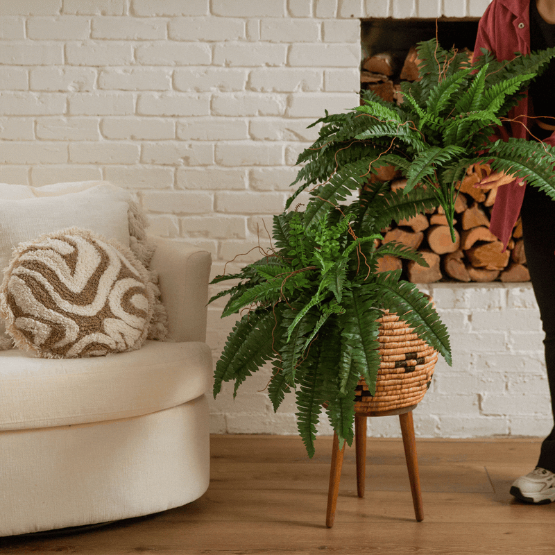 40” Artificial Boston Fern (Set of 2), photo 4 of 7