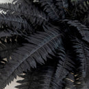 40" Artificial Halloween Black Boston Fern - Set of 2