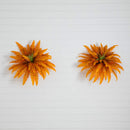 40" Autumn Artificial Fall Boston Fern - Set of 2