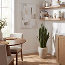 40” Sansevieria Artificial Plant in Sand Colored Planter by Nearly Natural