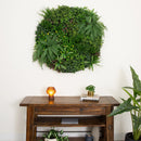 40” UV Resistant Almafi Coast Artificial Living Wall Art Panel in Black Aluminum Frame