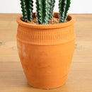 41” Artificial Cactus in Terracotta Planter