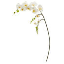 43” Phalaenopsis Orchid Artificial Flower (Set of 6)