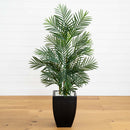 4.5’ Areca Palm Tree with Black Wash Planter UV Resistant (Indoor/Outdoor)