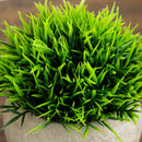 4.5" Artificial Grass Plant in Cement Planter - Set of 2