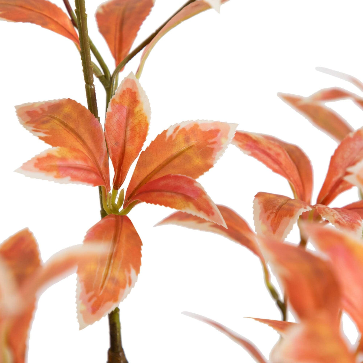 4.5' Autumn Pieris Artificial Fall Tree, photo 2 of 7