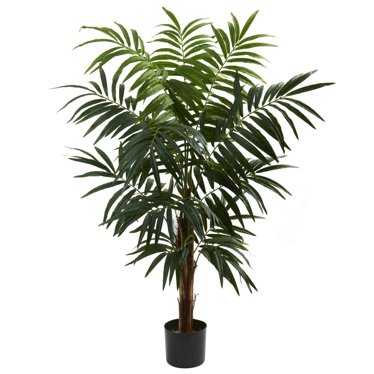 4.5’ Bulb Areca Tree, photo 3 of 3