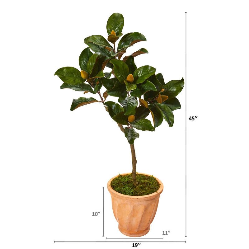 45” Magnolia Leaf Artificial Tree in Terra-cotta Planter, photo 2 of 2
