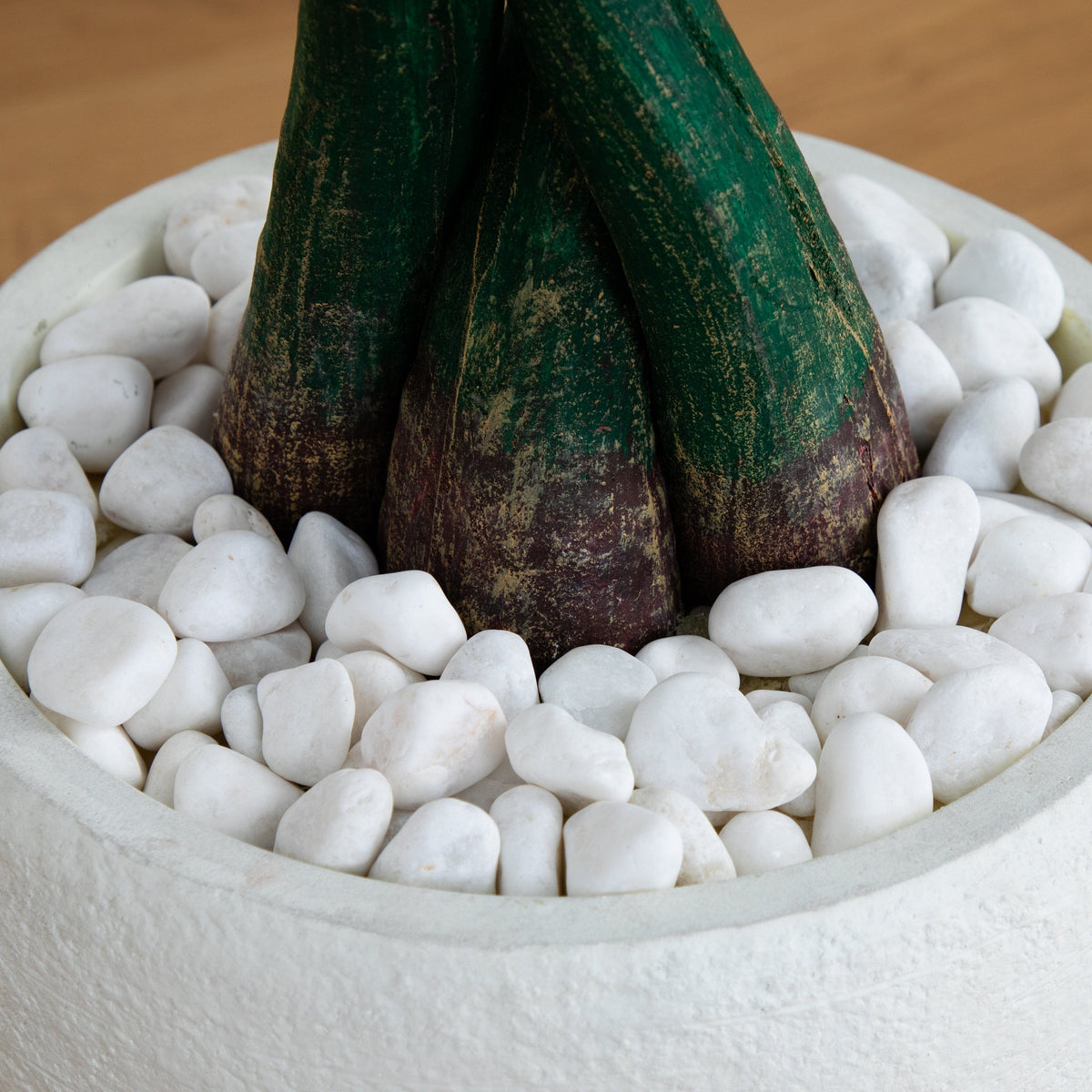 4.5’ Money Artificial Tree in White Oval Planter (Real Touch, photo 6 of 6