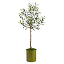4.5’ Olive Artificial Tree in Green Planter