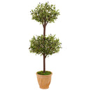 4.5’ Olive Topiary Tree in Terracotta Pot