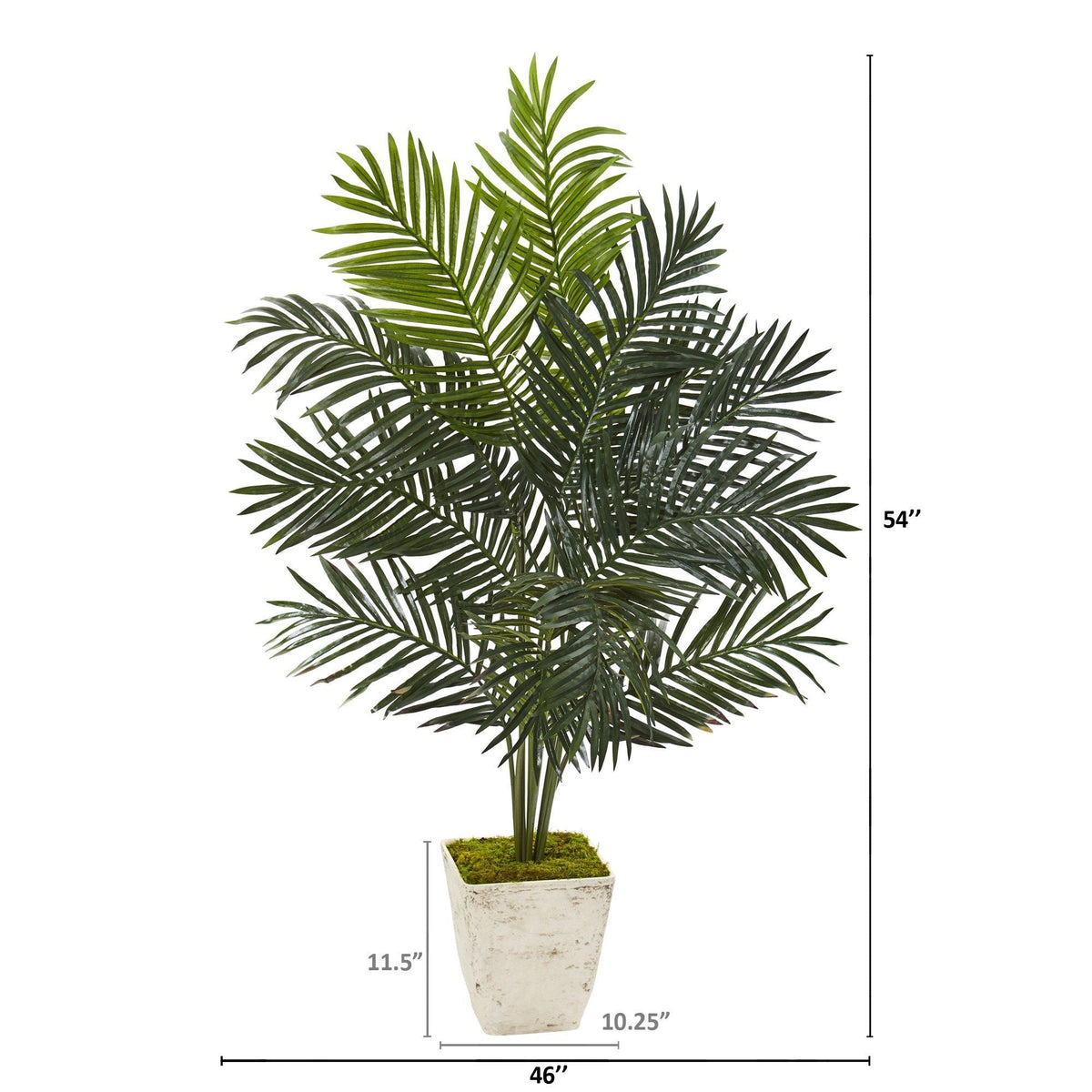 4.5’ Paradise Palm Artificial Tree in Country White Planter, photo 2 of 2