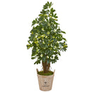 4.5’ Schefflera Artificial Tree in Farmhouse Planter