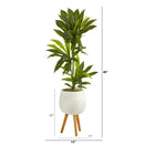 46” Dracaena Artificial Plant in White Planter with Stand (Real Touch)