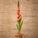 46” Gladiolus Artificial Flower (Set of 3)