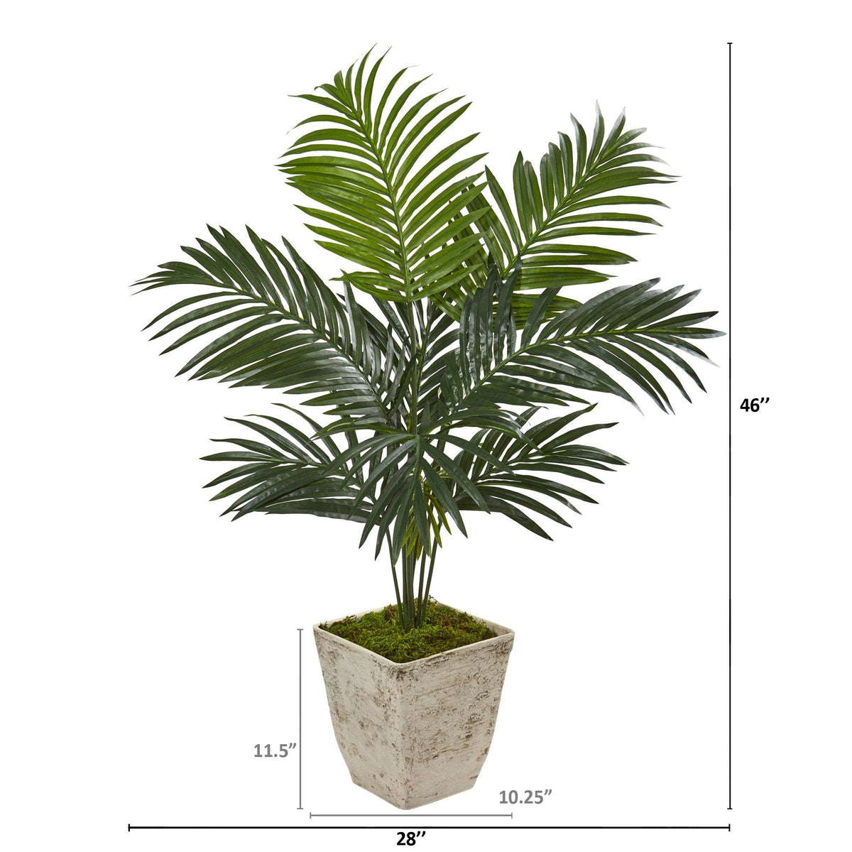 46” Kentia Artificial Palm Tree in Country White Planter, photo 2 of 2