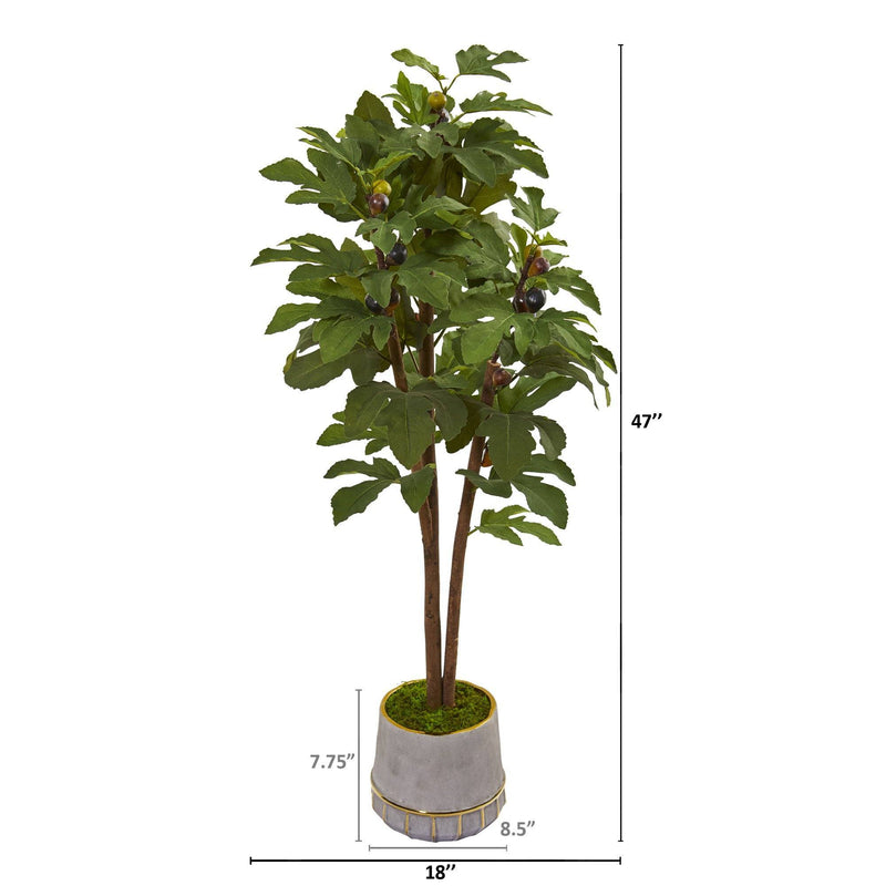 47” Fig Artificial Tree in Stoneware Vase with Gold Trimming, photo 2 of 2