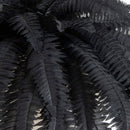 48" Artificial Halloween Black Boston Fern - Set of 2