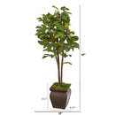 49” Fig Artificial Tree in Decorative Planter