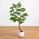 5’ Artificial Bonsai Style Cedar Tree in Decorative White Planter
